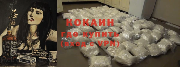 трава Белокуриха