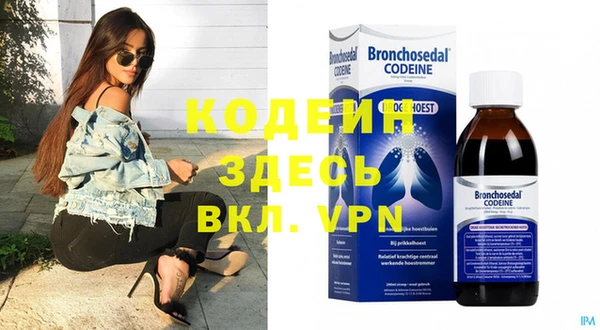 трава Белокуриха