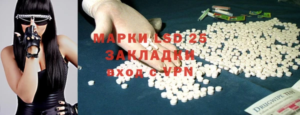 трава Белокуриха