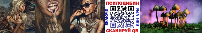 Галлюциногенные грибы Cubensis Краснообск
